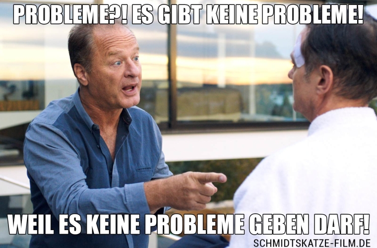 Es gibt keine Probleme - Kinofilm Schmidts Katze